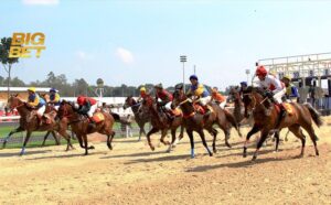 Cược Đua Ngựa BigBet88