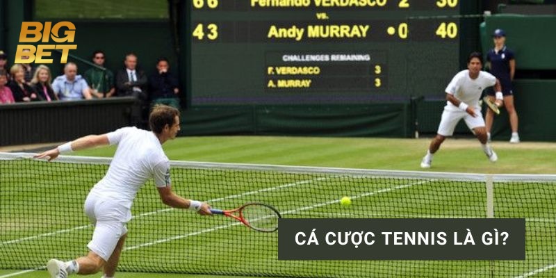 Cá Cược Tennis BigBet88