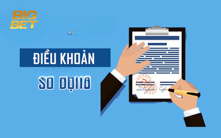 Điều Khoản Sử Dụng Bigbet88
