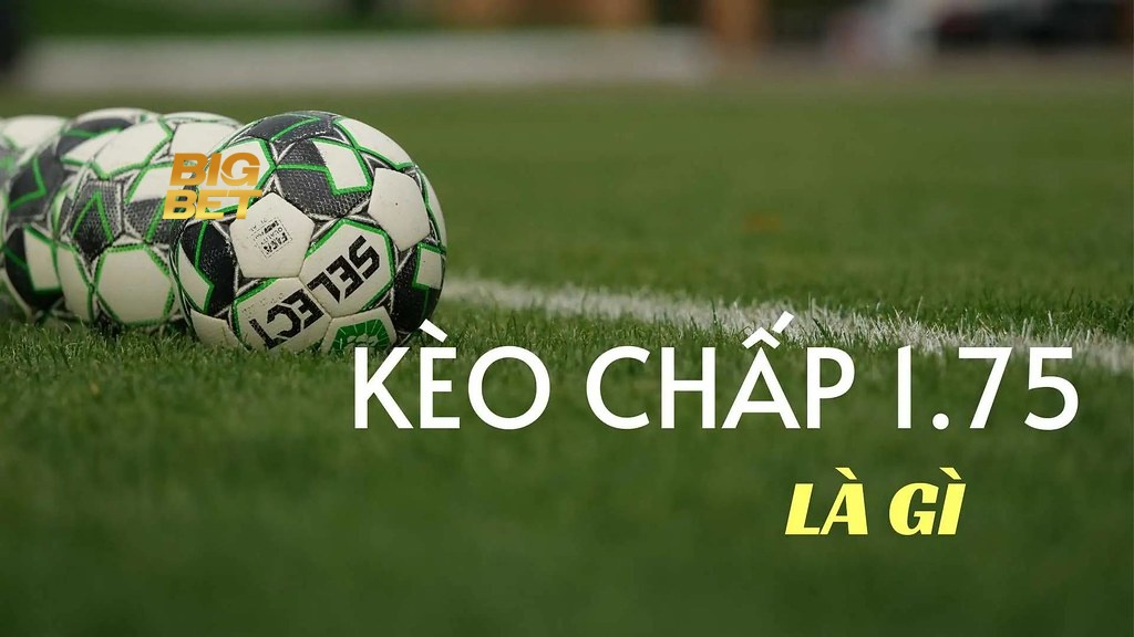 Kèo Chấp 1.75 BigBet88 