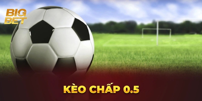 Kèo chấp 0.5 BigBet88 